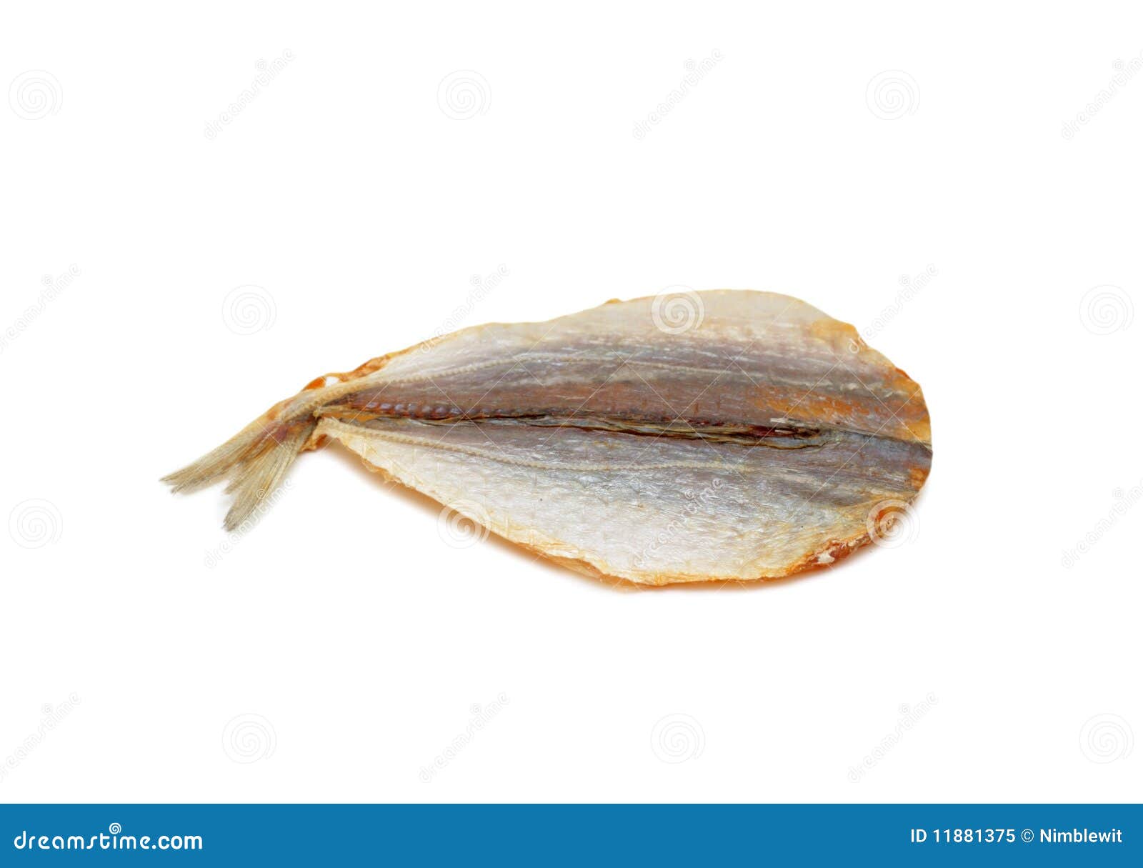 Stockfish, isolated stock image. Image of macro, object 11881375