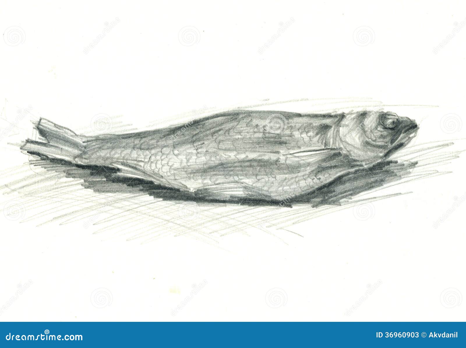 Fish Drawing Stock Photos and Images - 123RF