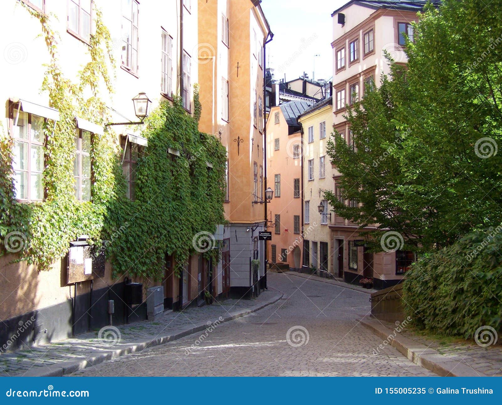 stockholm-sweden-narrow-streets-stockholm-green-plants-trees-narrow-streets-stockholm-green-plants-trees-155005235.jpg