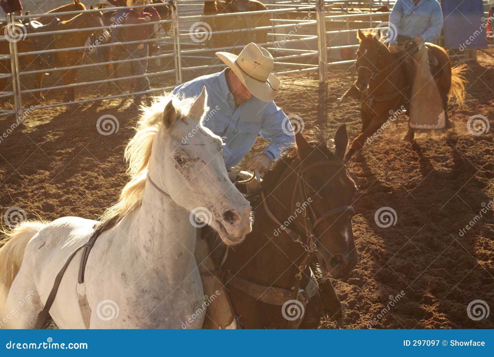 stockman