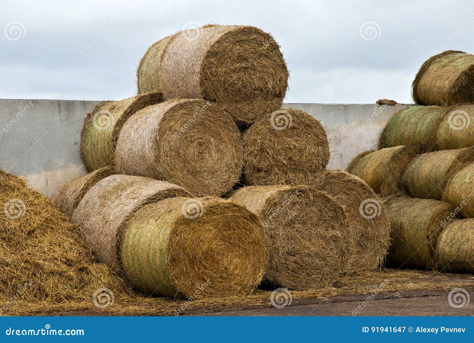 Stocks of hay for cows. stock image. Image of straw, industry 91941647