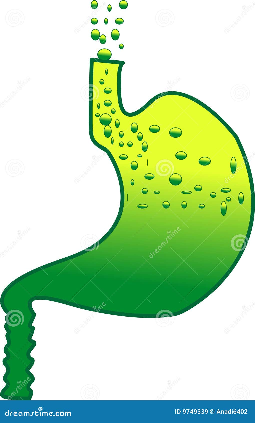 Stomach Acidity Cartoon Vector CartoonDealer 9749339 stomach-acidity-cartoon-vector-cartoondealer-9749339