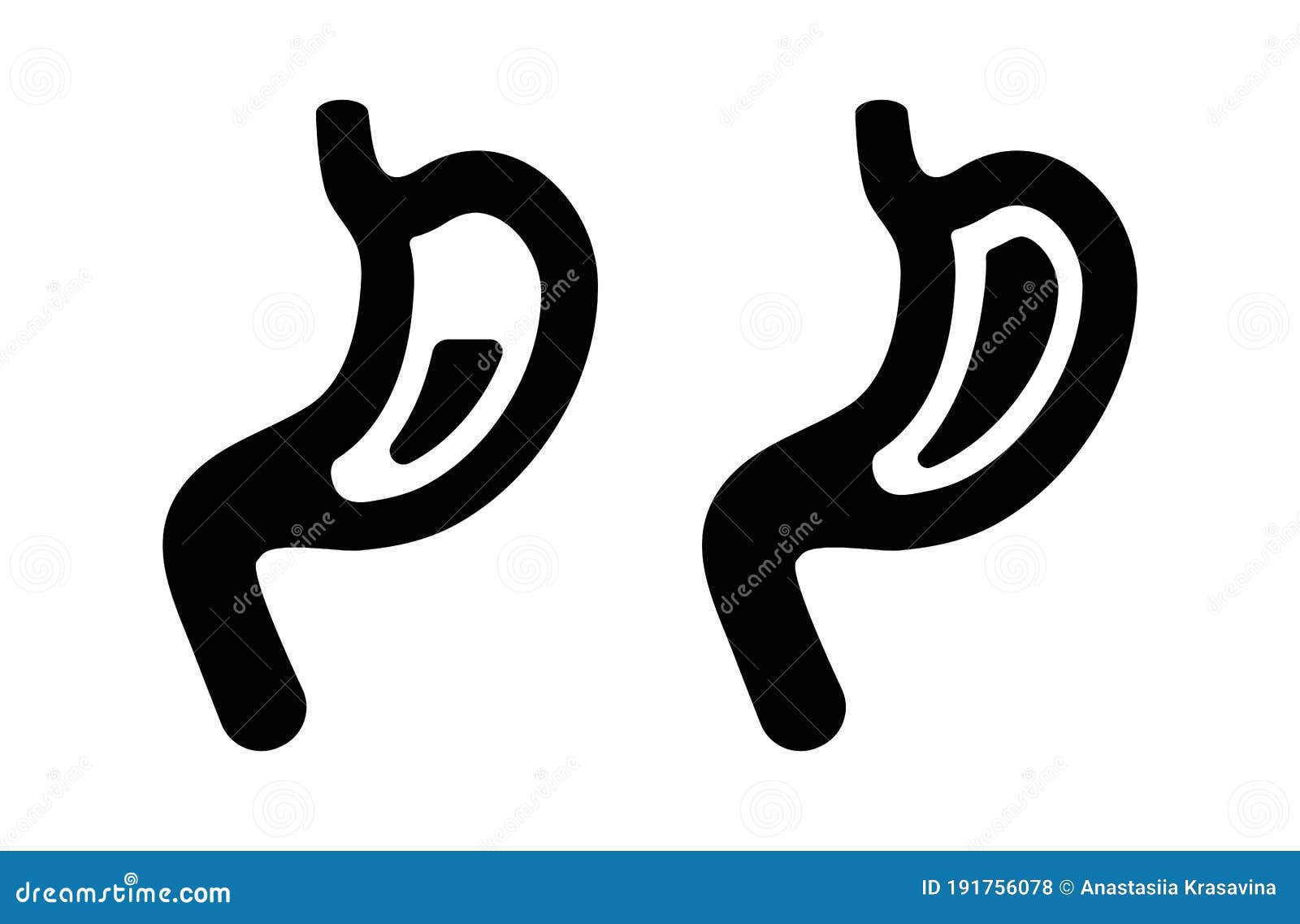 stomach icon silhouette on white background. two different stomachs. one is filled up, another is half full. internal