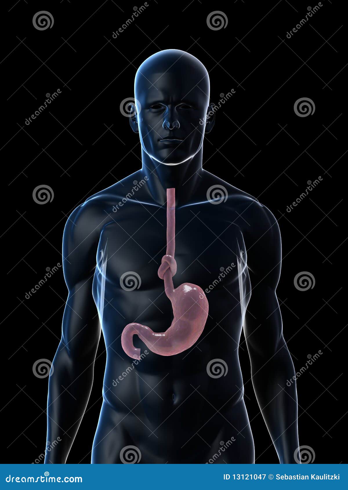 knotes in the stomach area knotes in the stomach area