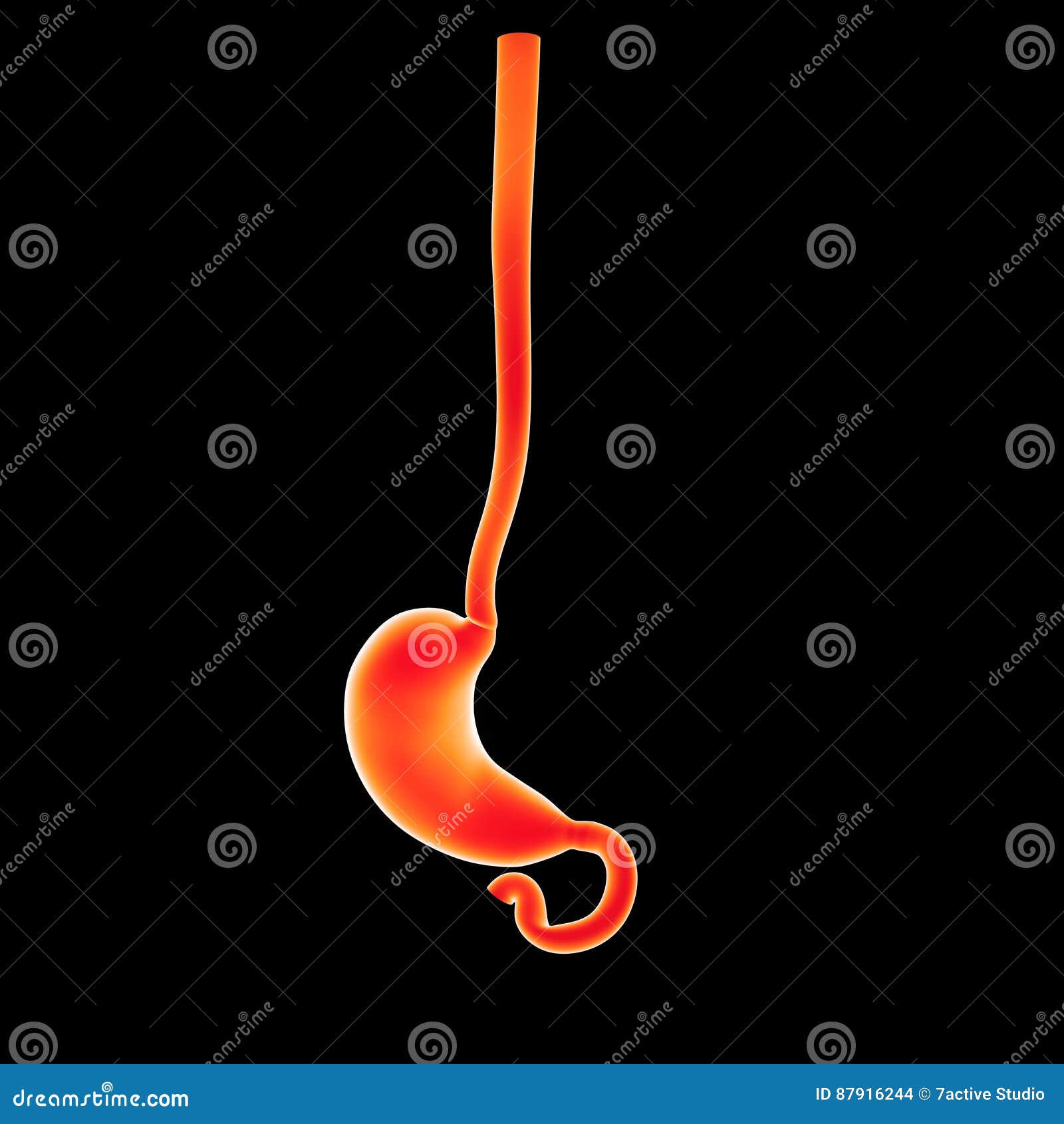 My Image 32