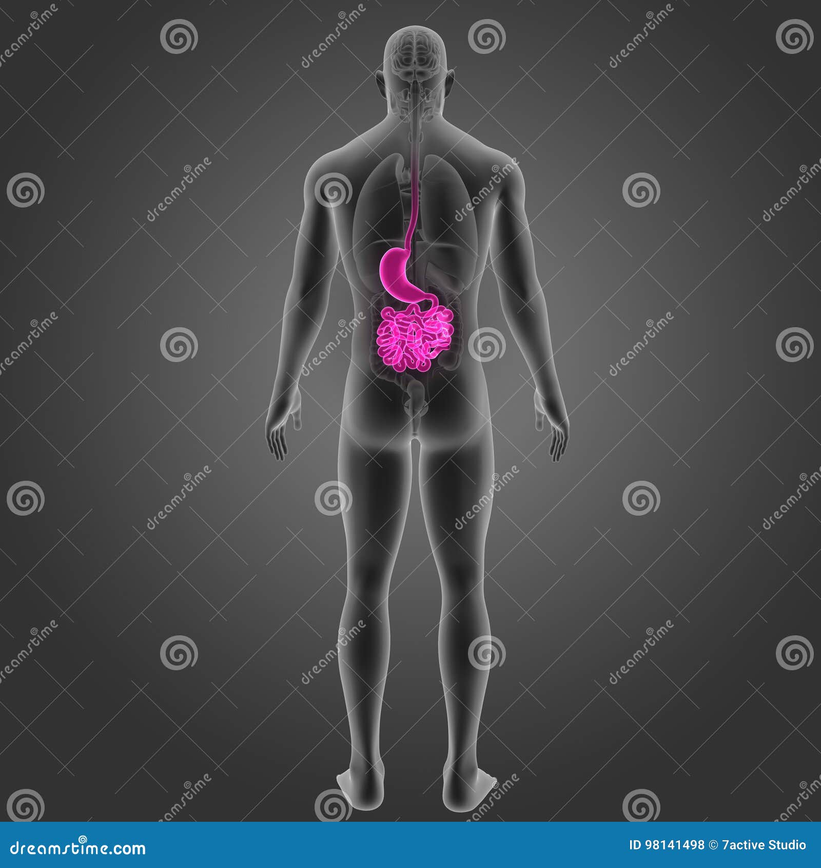 My Image 30