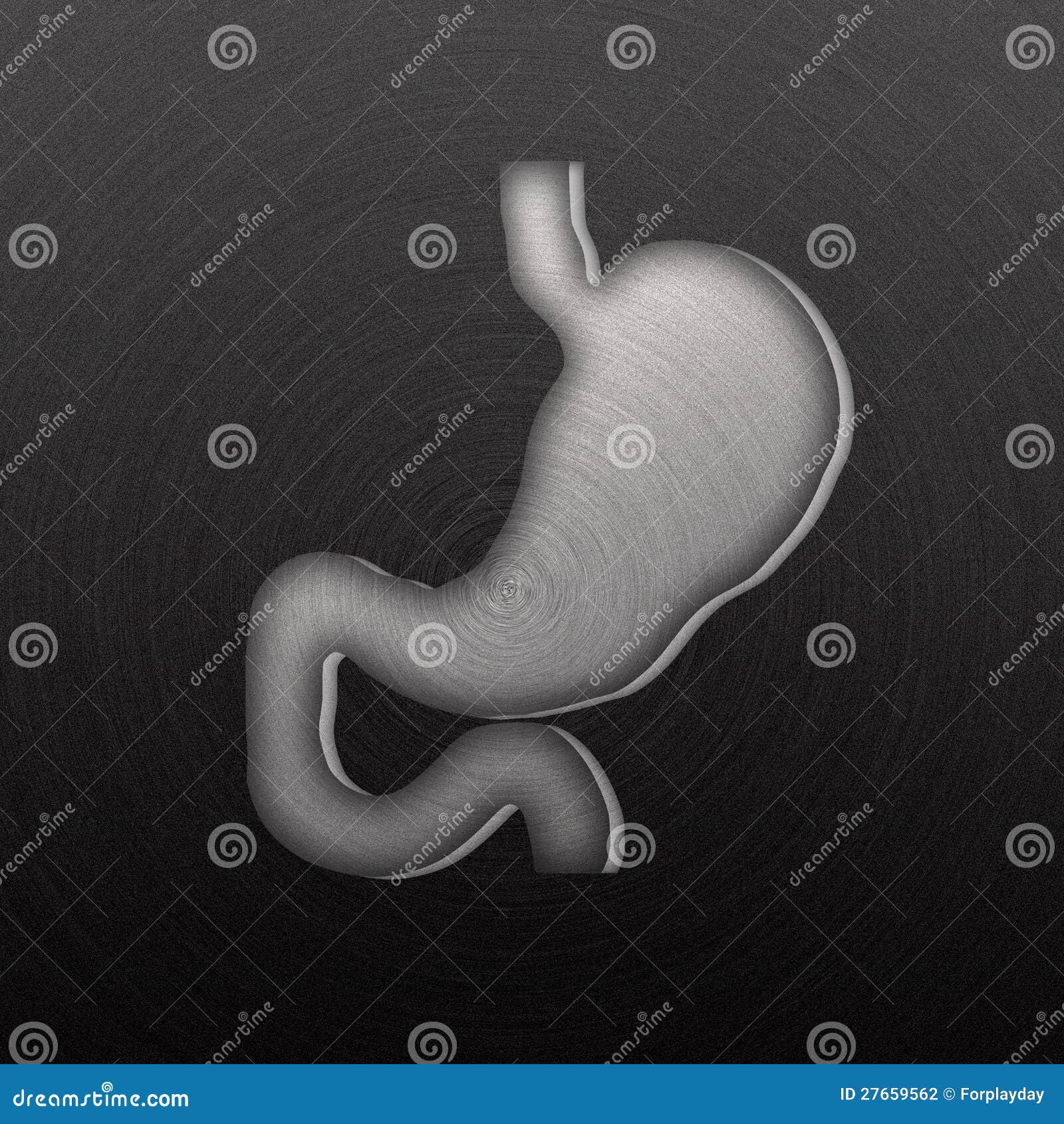 Stomach, Stamped into Polished Metal Stock Illustration Illustration