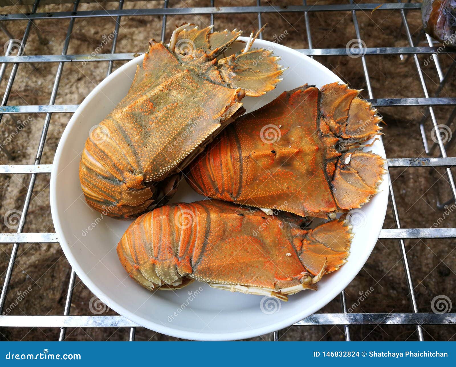 Stomatopods Seafood Barbecue on Beach Stock Photo Image of mantis