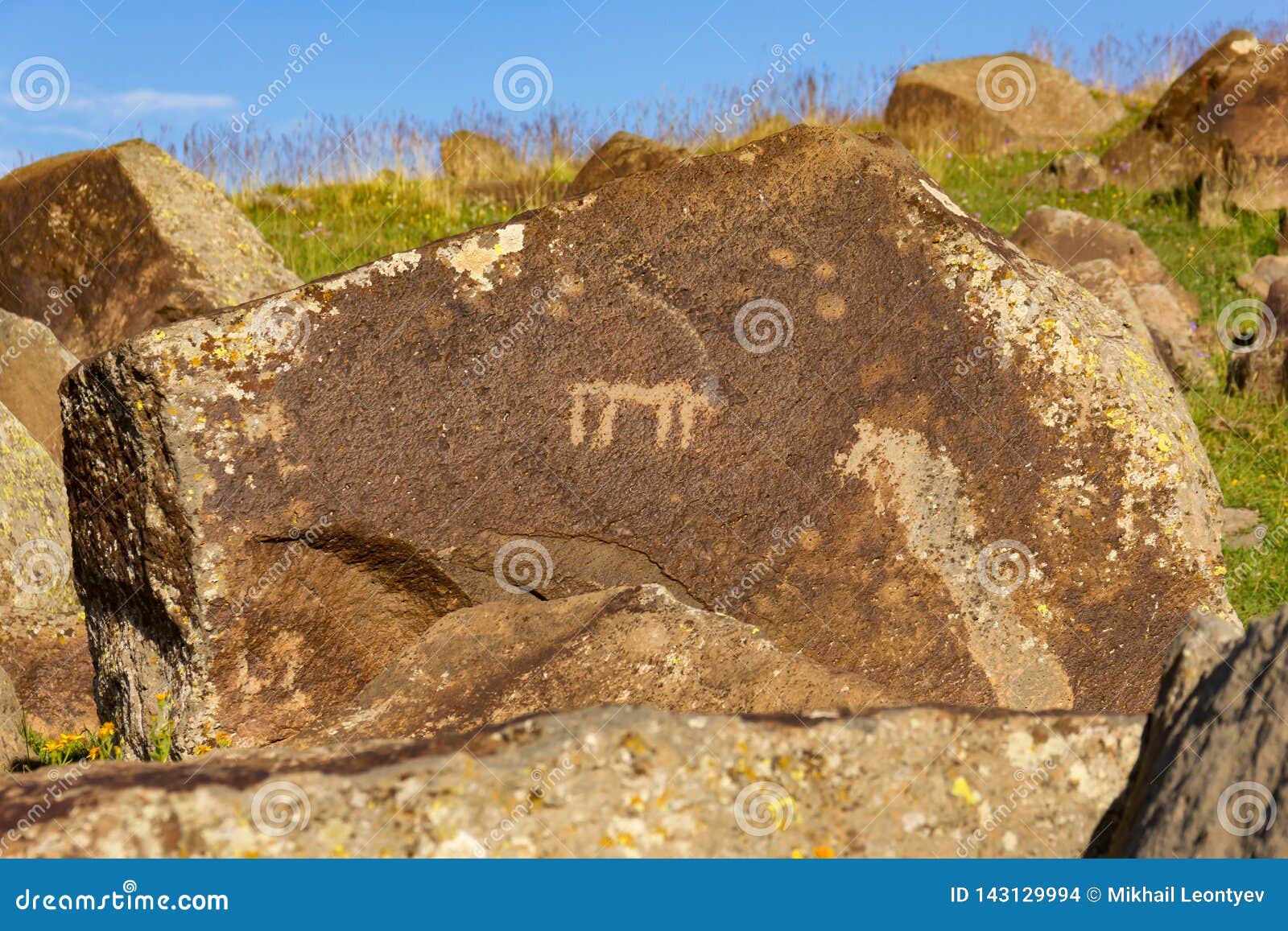 Stone with Ancient Petroglyph of Goat in Mountains of Armenia Stock