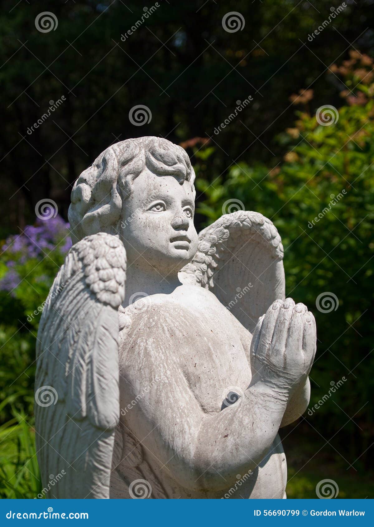 Stone Angel Statue with Praying Hands Looking Skyward Stock Image