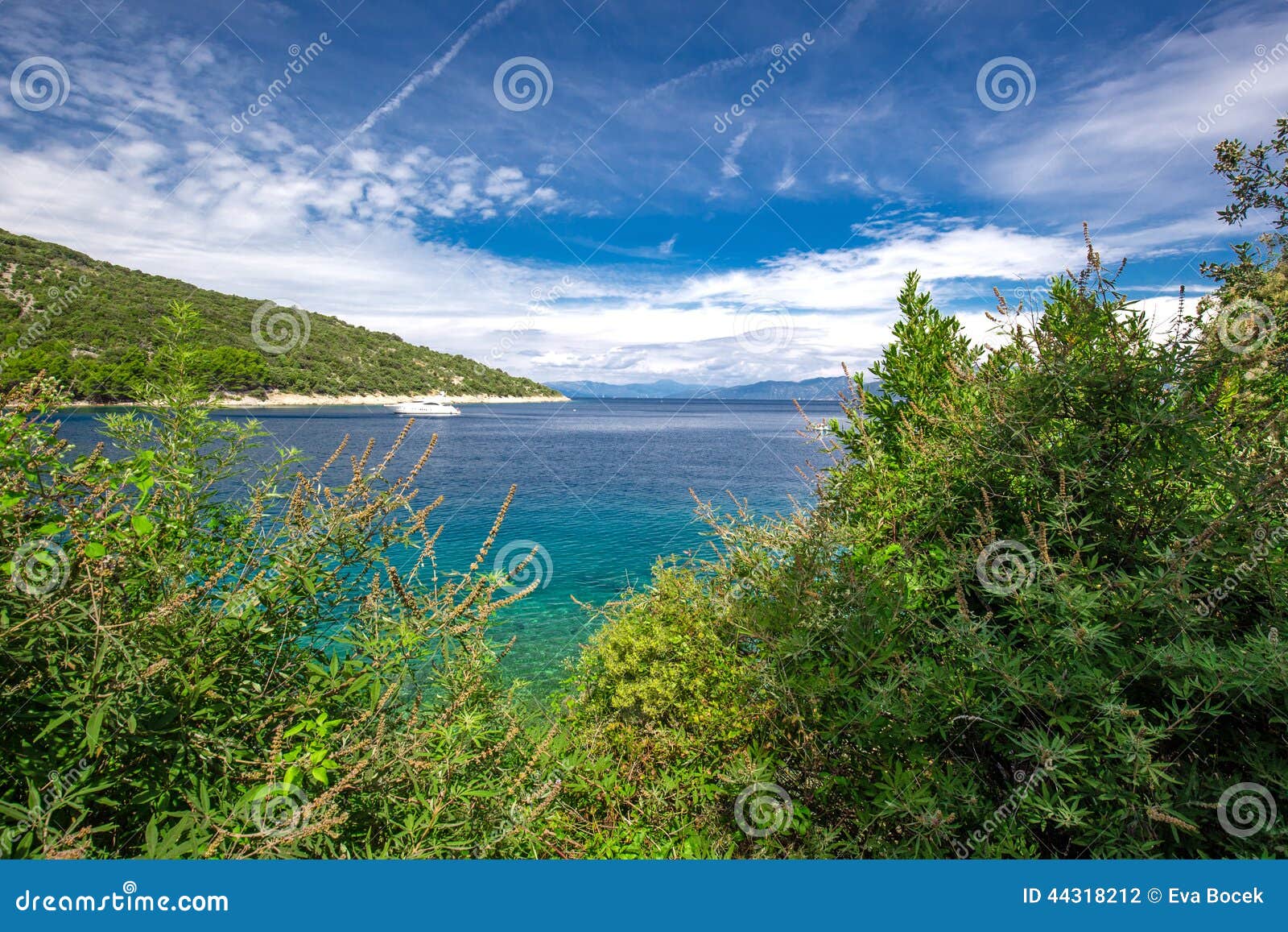 stone beach with crystal clear tourquise sea with pine tree in croatia, istria, europe