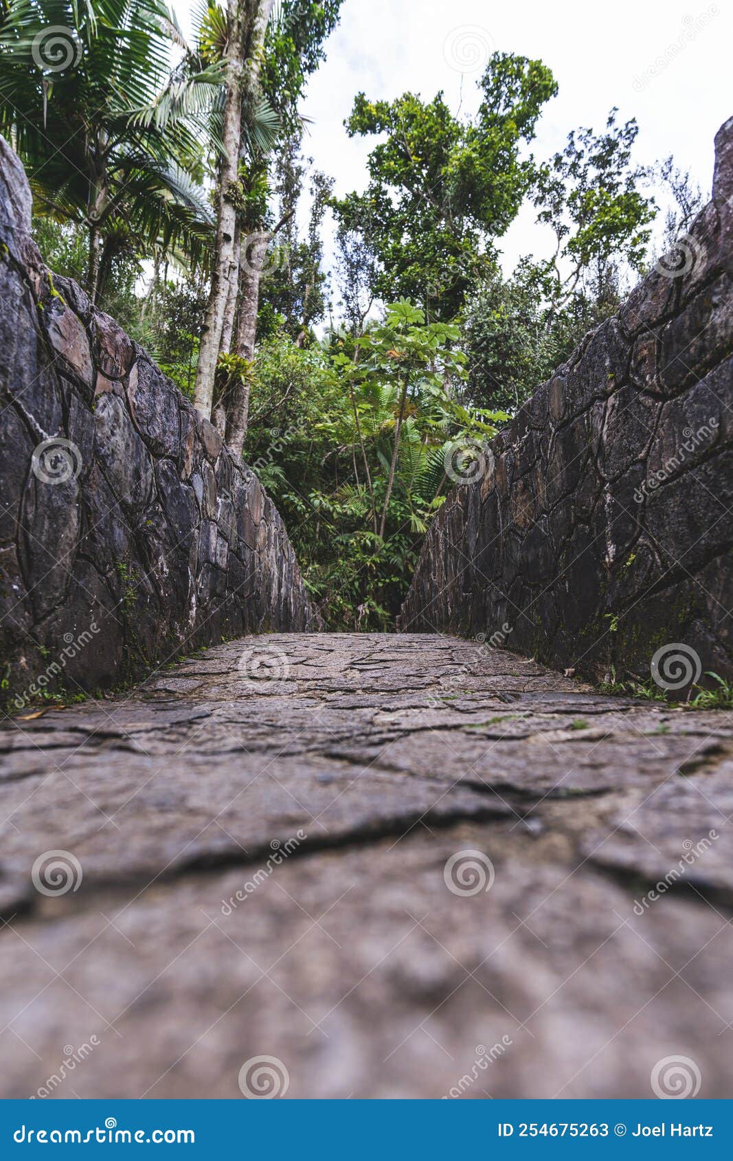 stone bridge at bano grande swim area in el yunque national forest, puerto rico