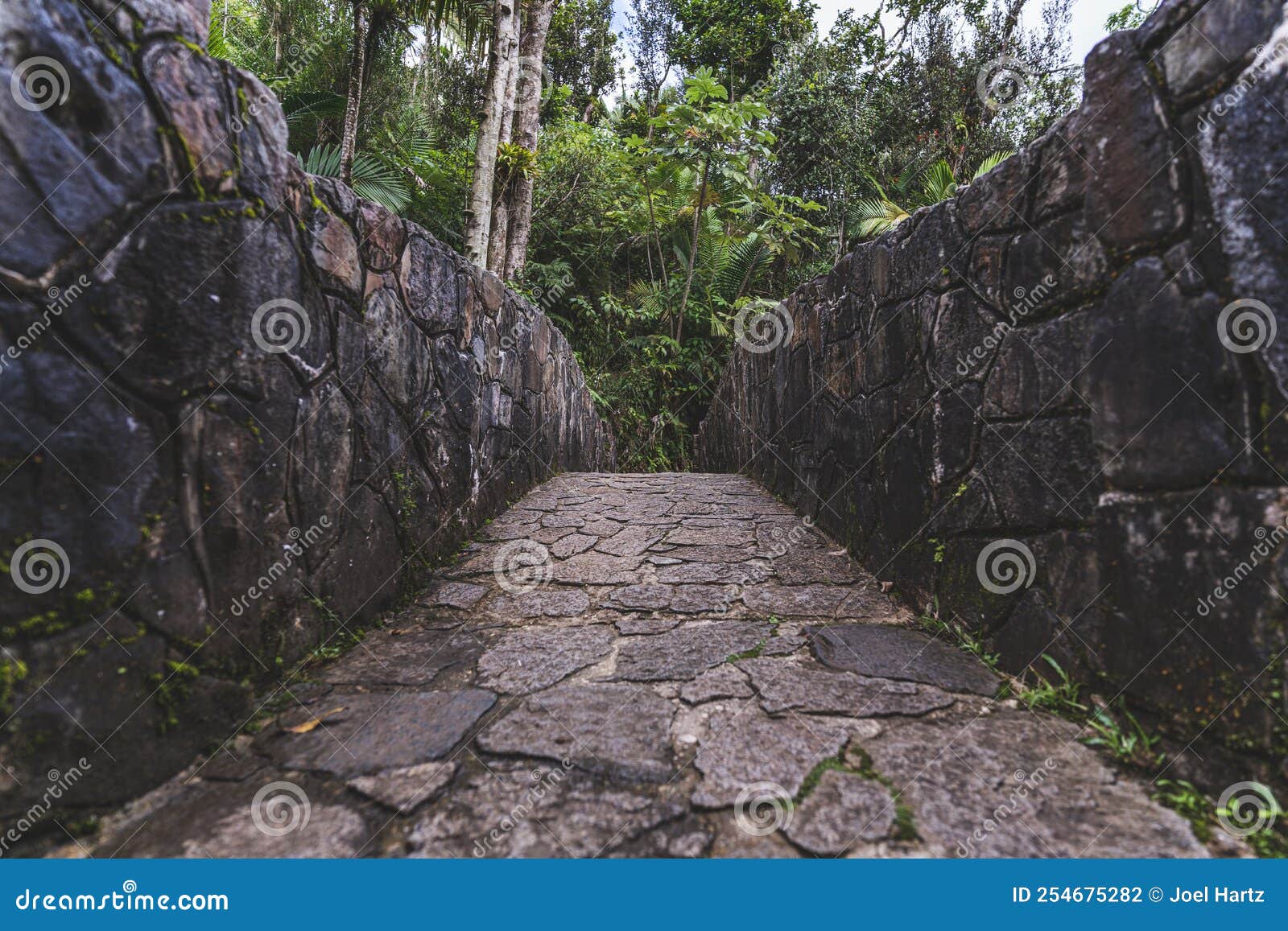 stone bridge at bano grande swim area in el yunque national forest, puerto rico