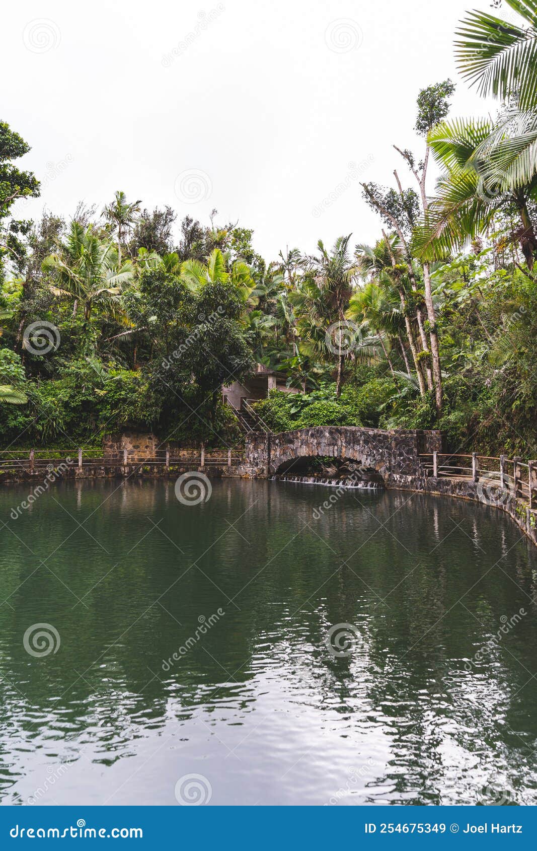 stone bridge at bano grande swim area in el yunque national forest, puerto rico