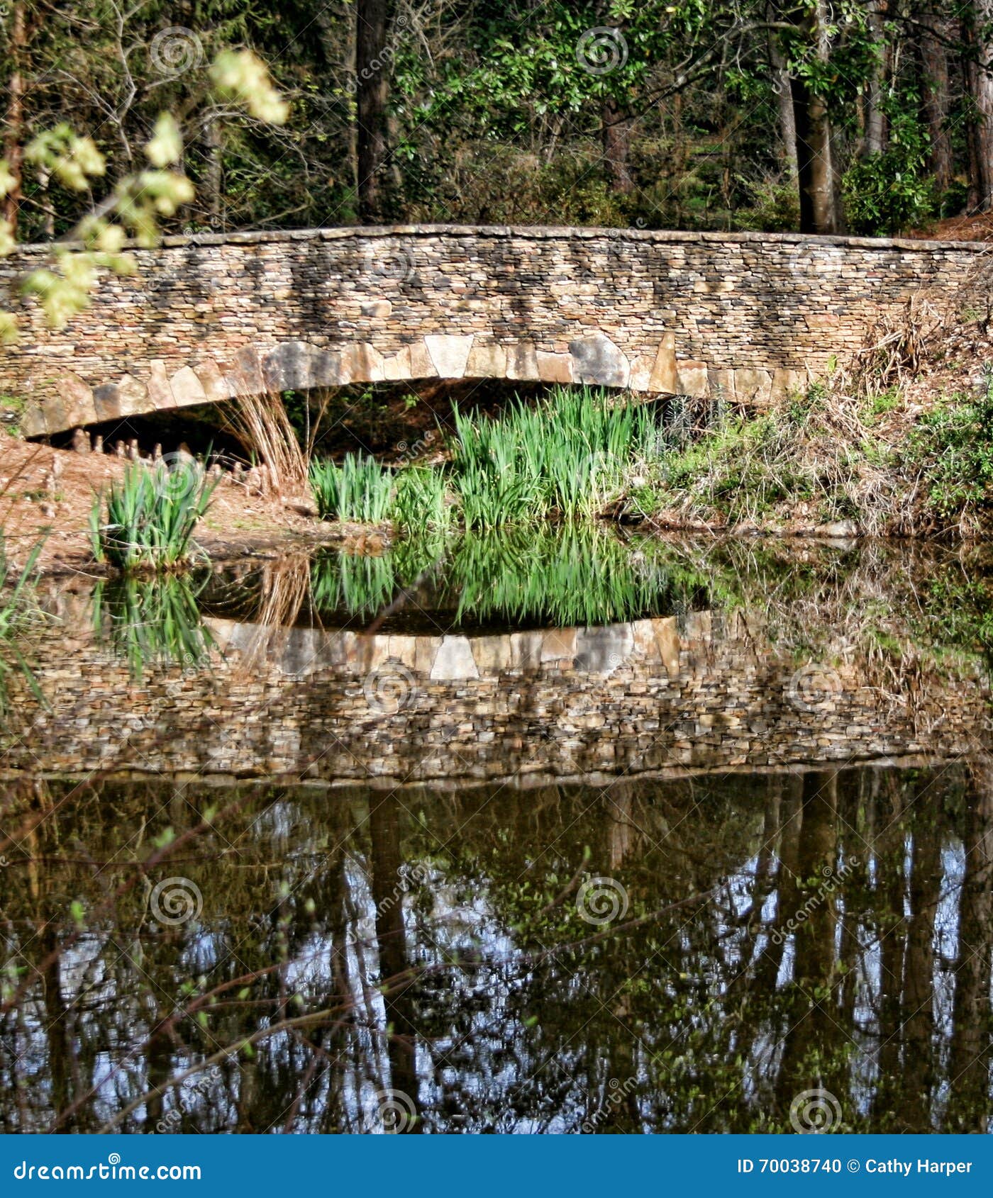 Stone Bridge At Botanical Gardens Stock Photo Image Of Span