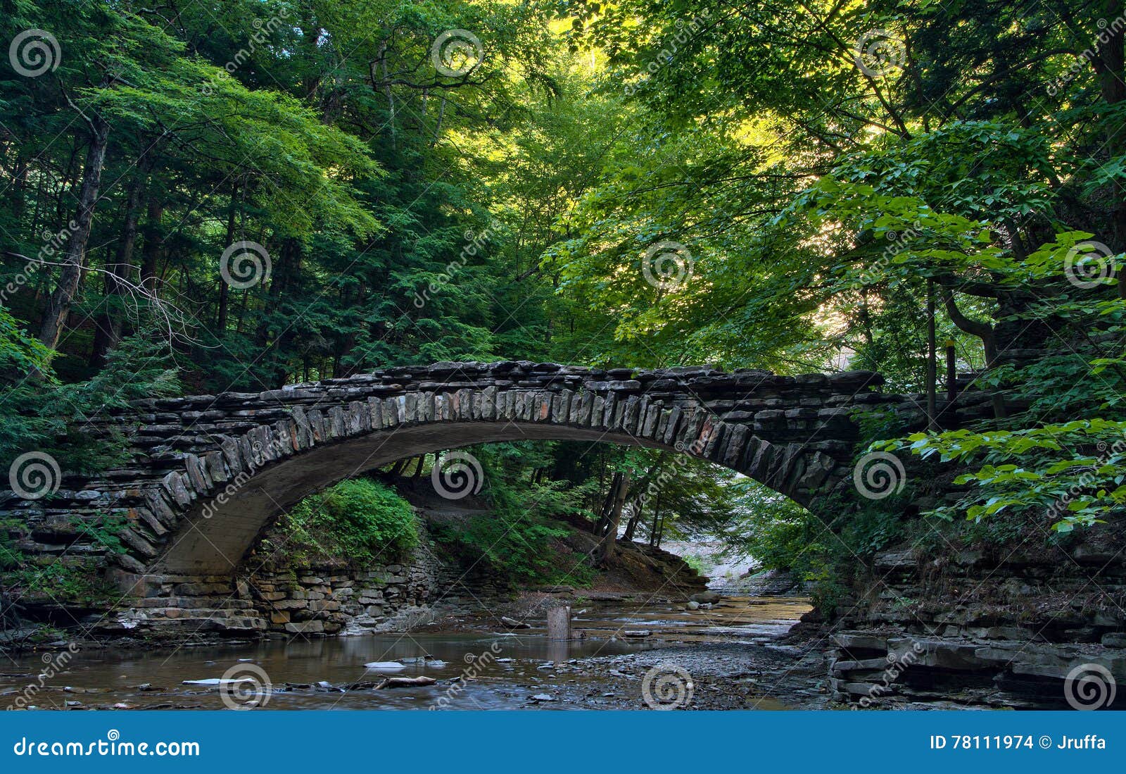 stone bridge over a stream in stony brook state park