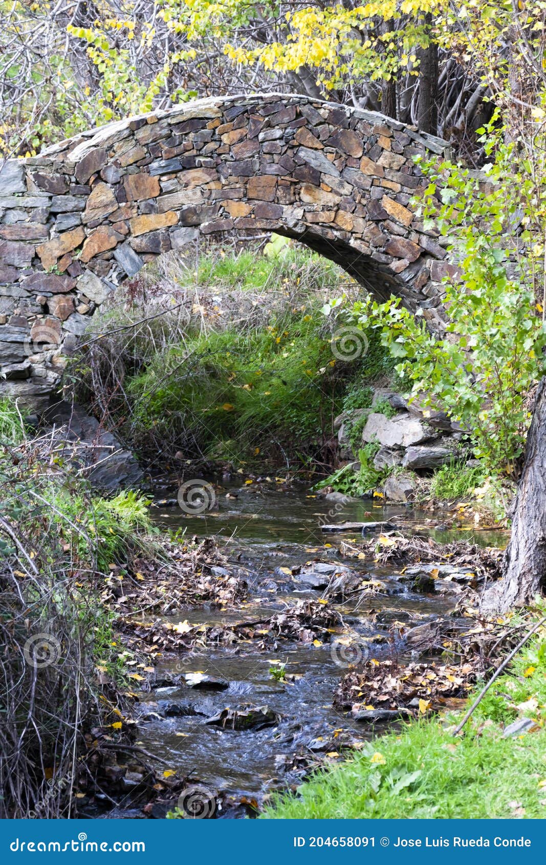stone bridge over the stream in the town of patones de arriba. spain