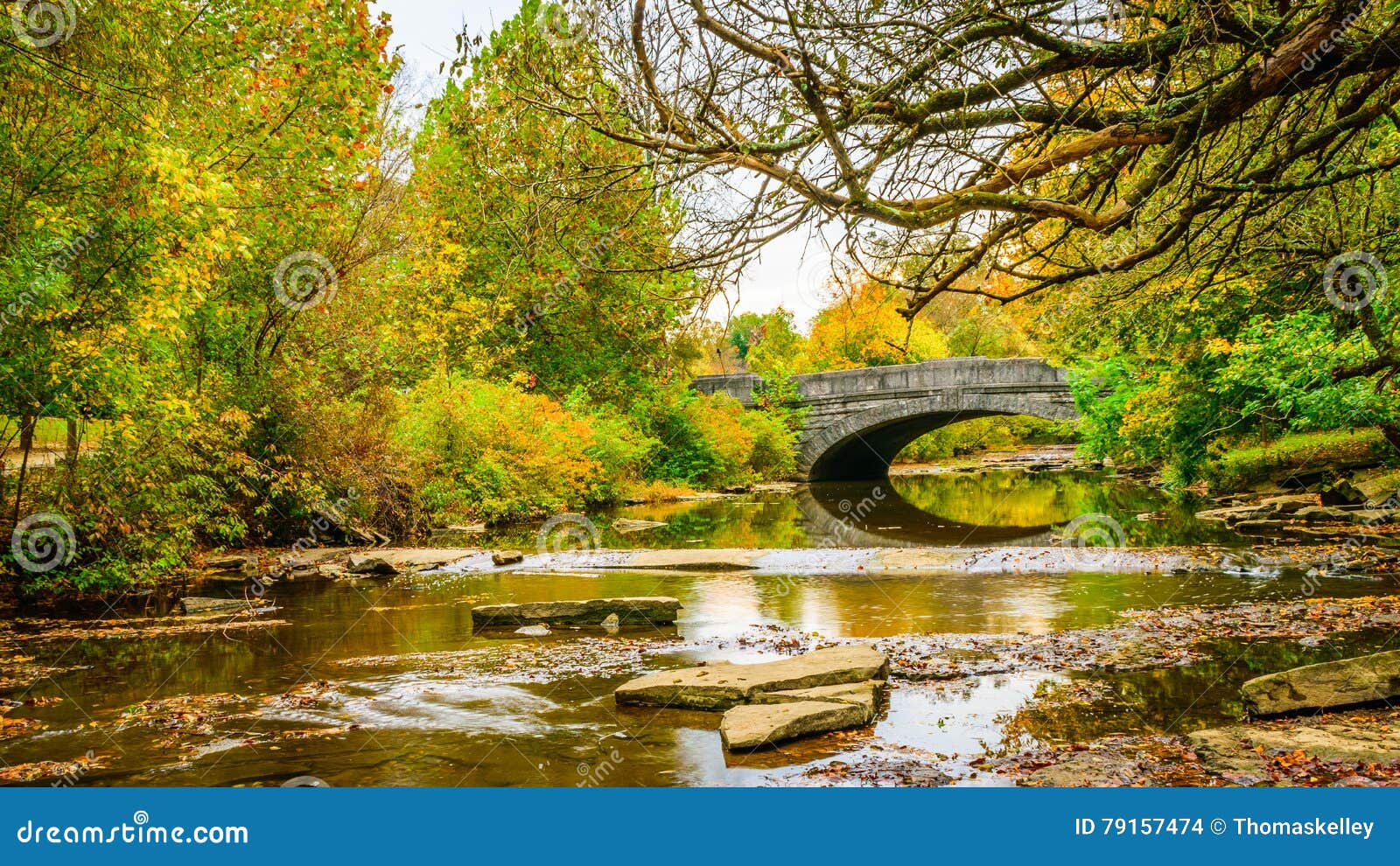 Stone Bridge in a Park Setting Stock Photo - Image of scenery, nature ...