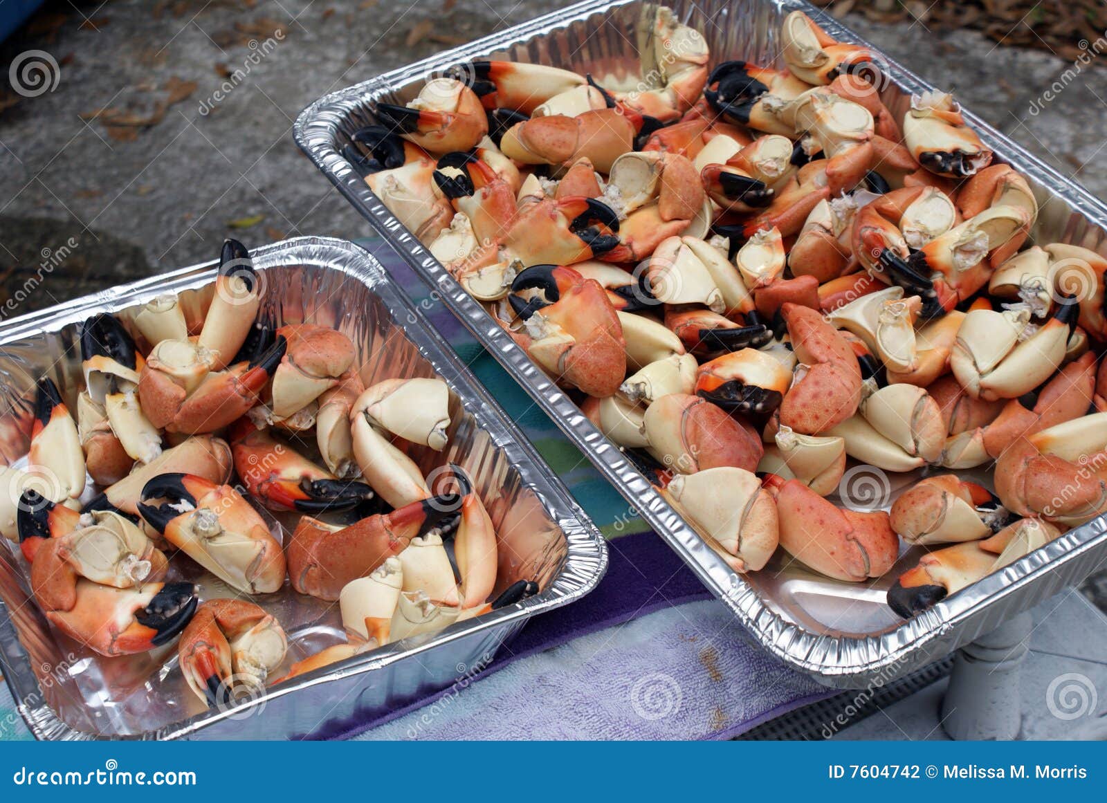 stone crab claws