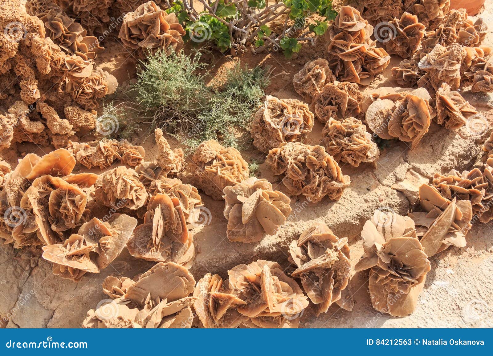 stone desert roses