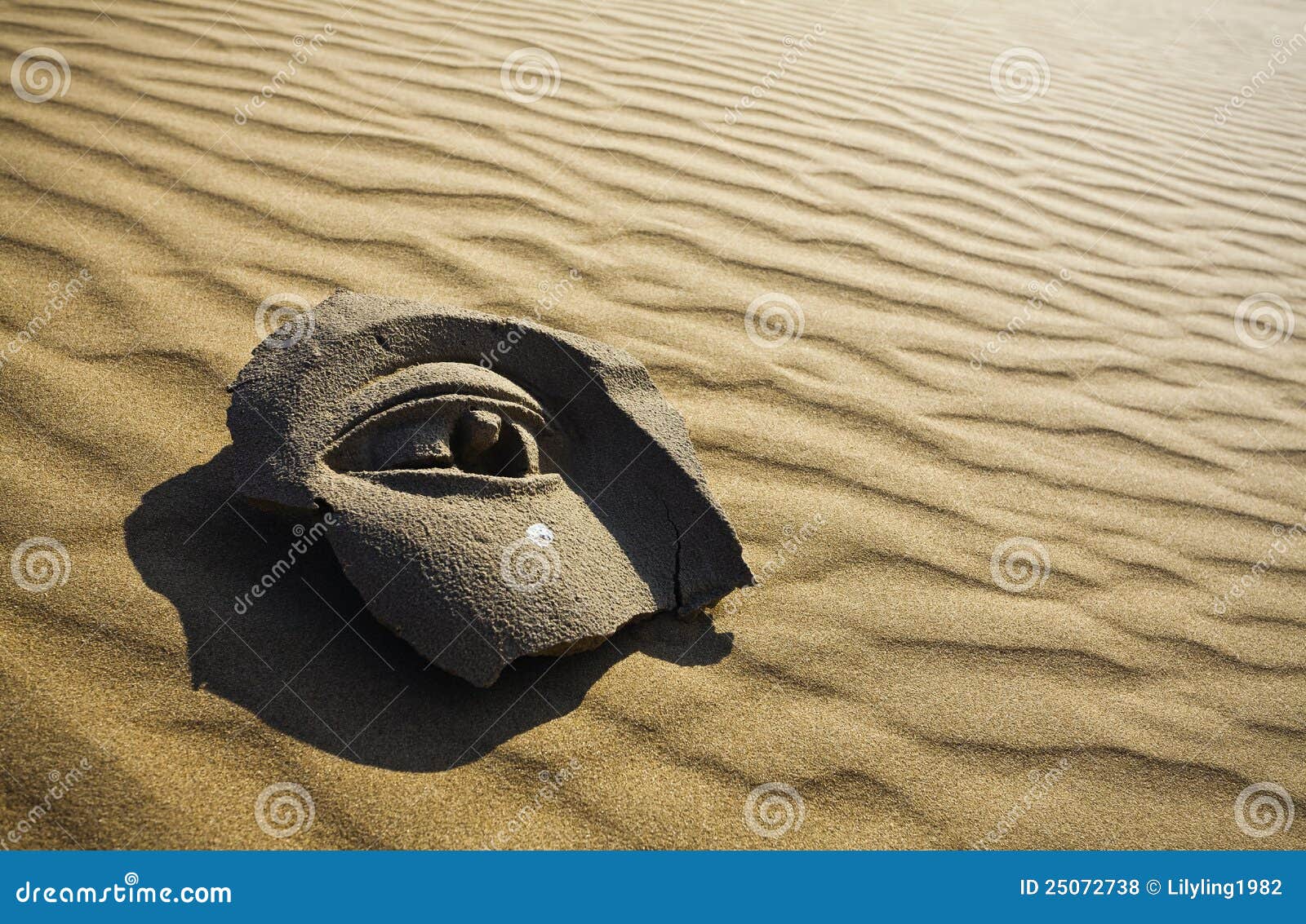 Stone face on desert stock photo. Image of protection 25072738