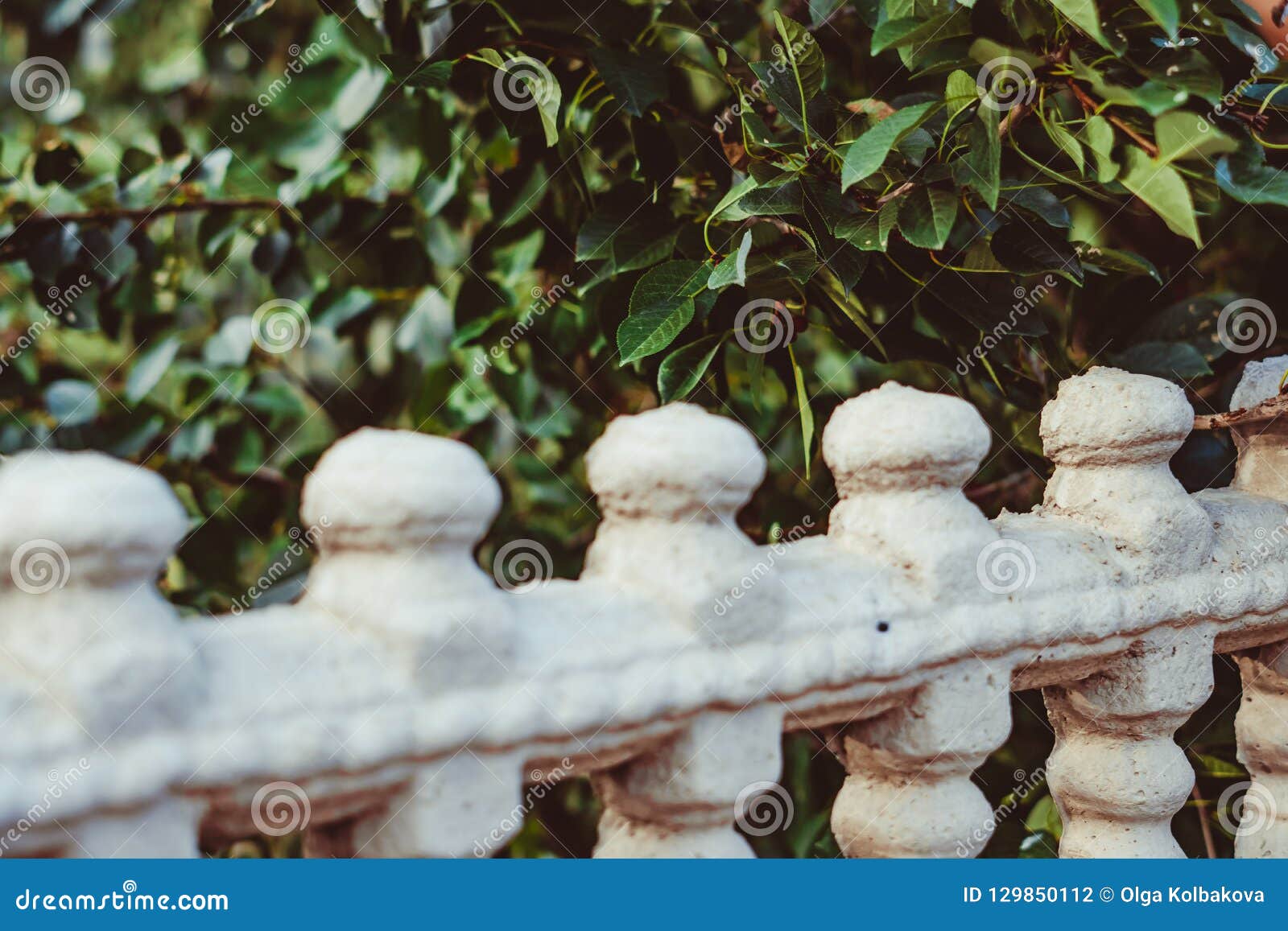 Stone fence in the garden stock photo. Image of backyard - 129850112