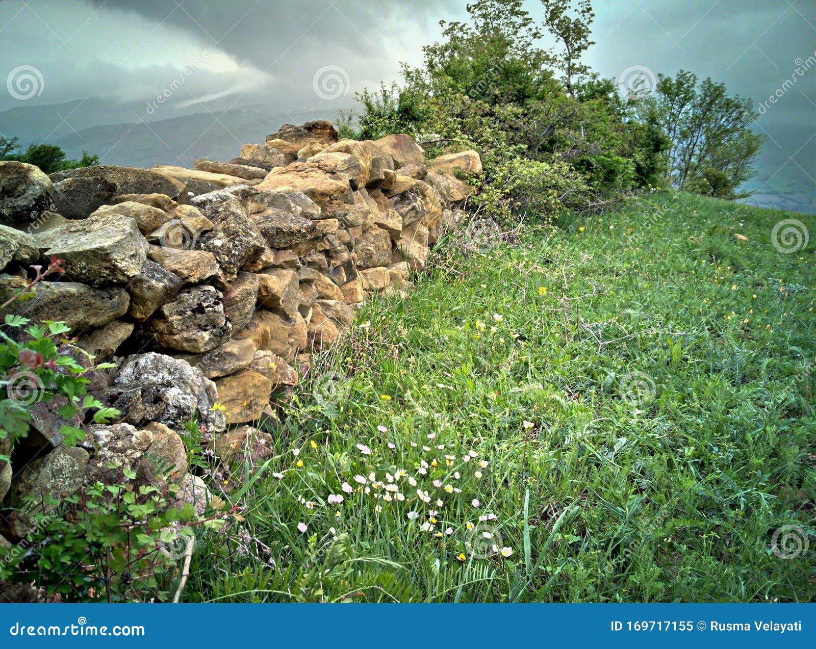 stone fence in the plain