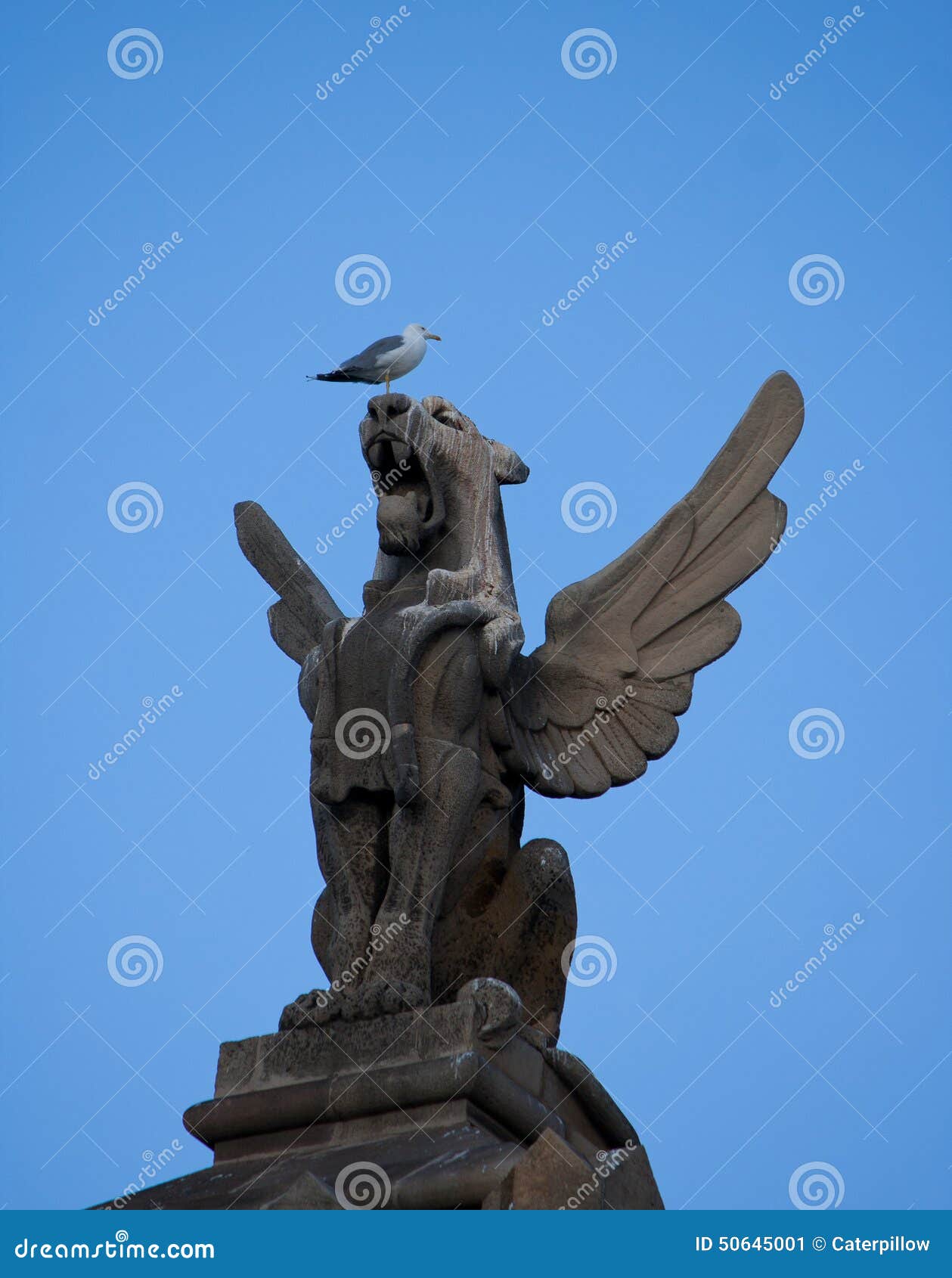 Stone Griffin on Rooftop, Barcelona, Spain Stock Image Image of