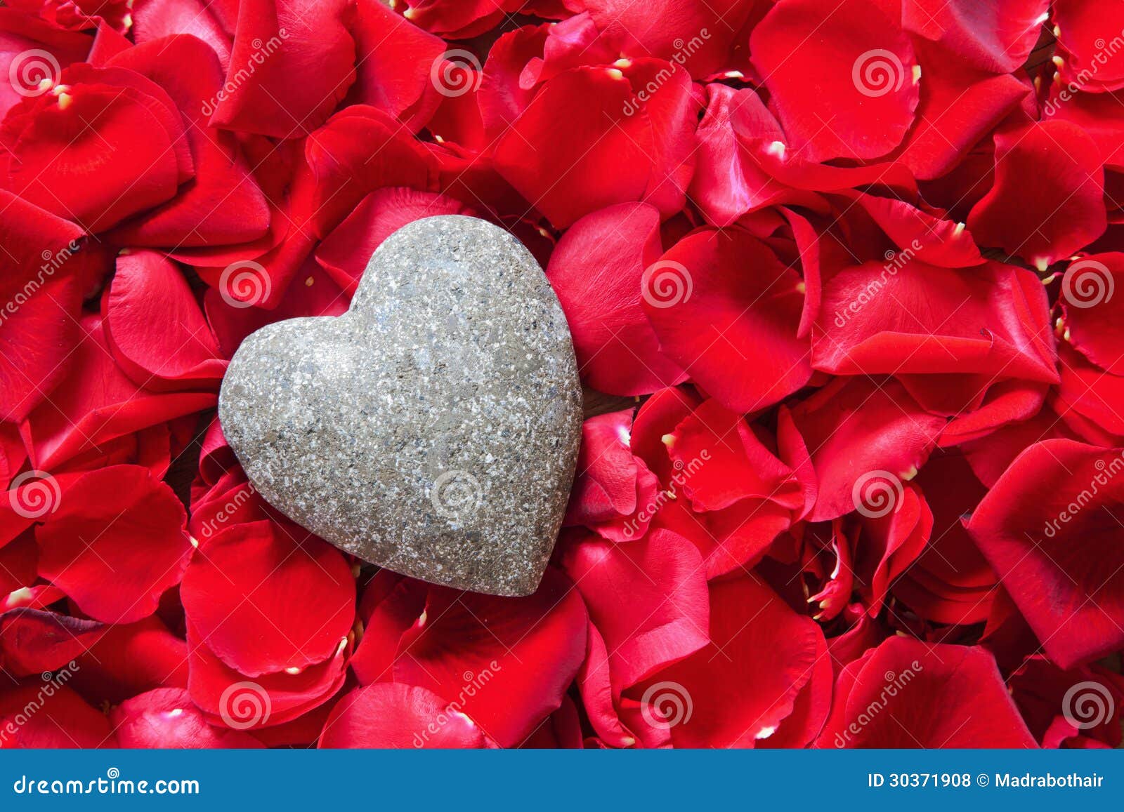 Stone heart in rose petals stock photo. Image of valentine 30371908