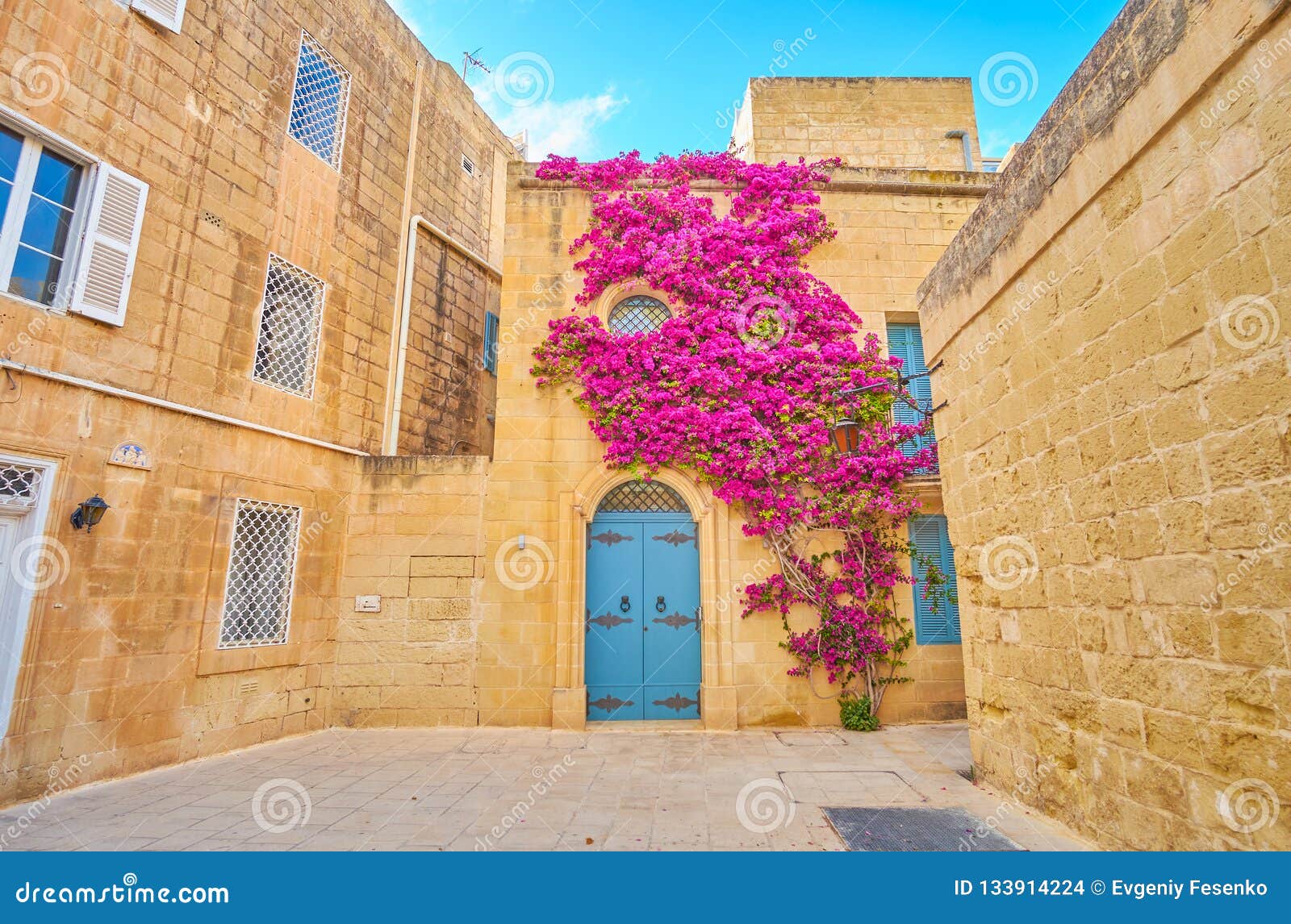 The Colorful Plant on the House`s Wall, Mdina, Malta Stock Photo ...