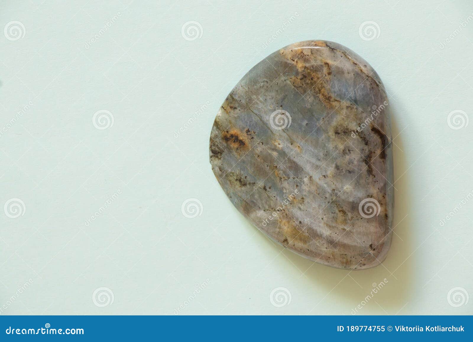 Stone Labrador on an Isolated Light Background Closeup Stock Image Image of collection