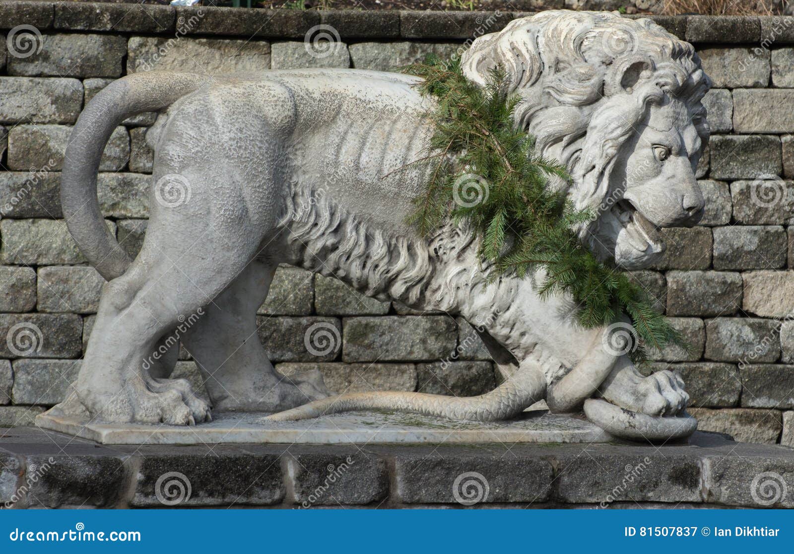 Stone lion stock image. Image of beijing, chicago, beautiful 81507837