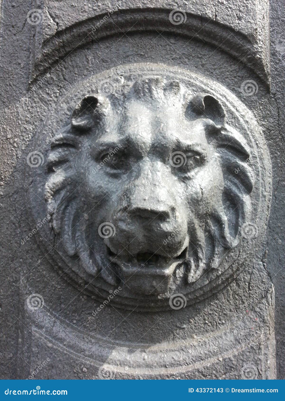 Stone lion stock image. Image of stone, lion, grey, animal 43372143