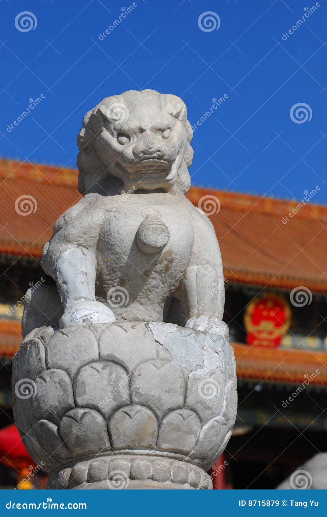 Stone Lion and National Emblem Stock Image Image of zedong, stone 8715879