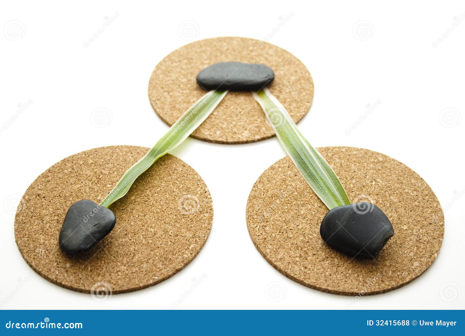 Stone with plant leaf stock photo. Image of schooner 32415688