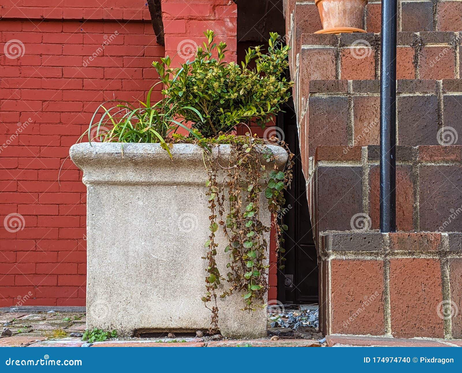 Stone Planter Against Brick Wall, Closeup Stock Photo Image of city