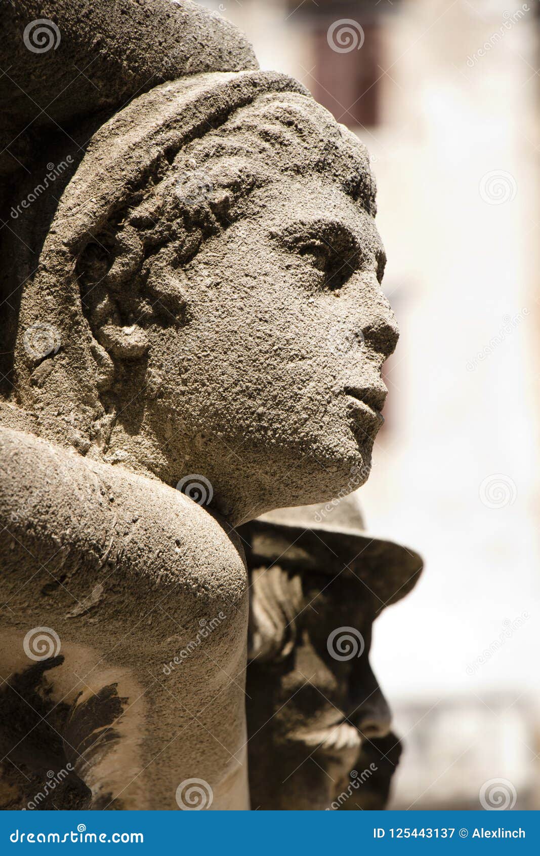 stone portrait on external frieze on st jakov`s cathedral in sib