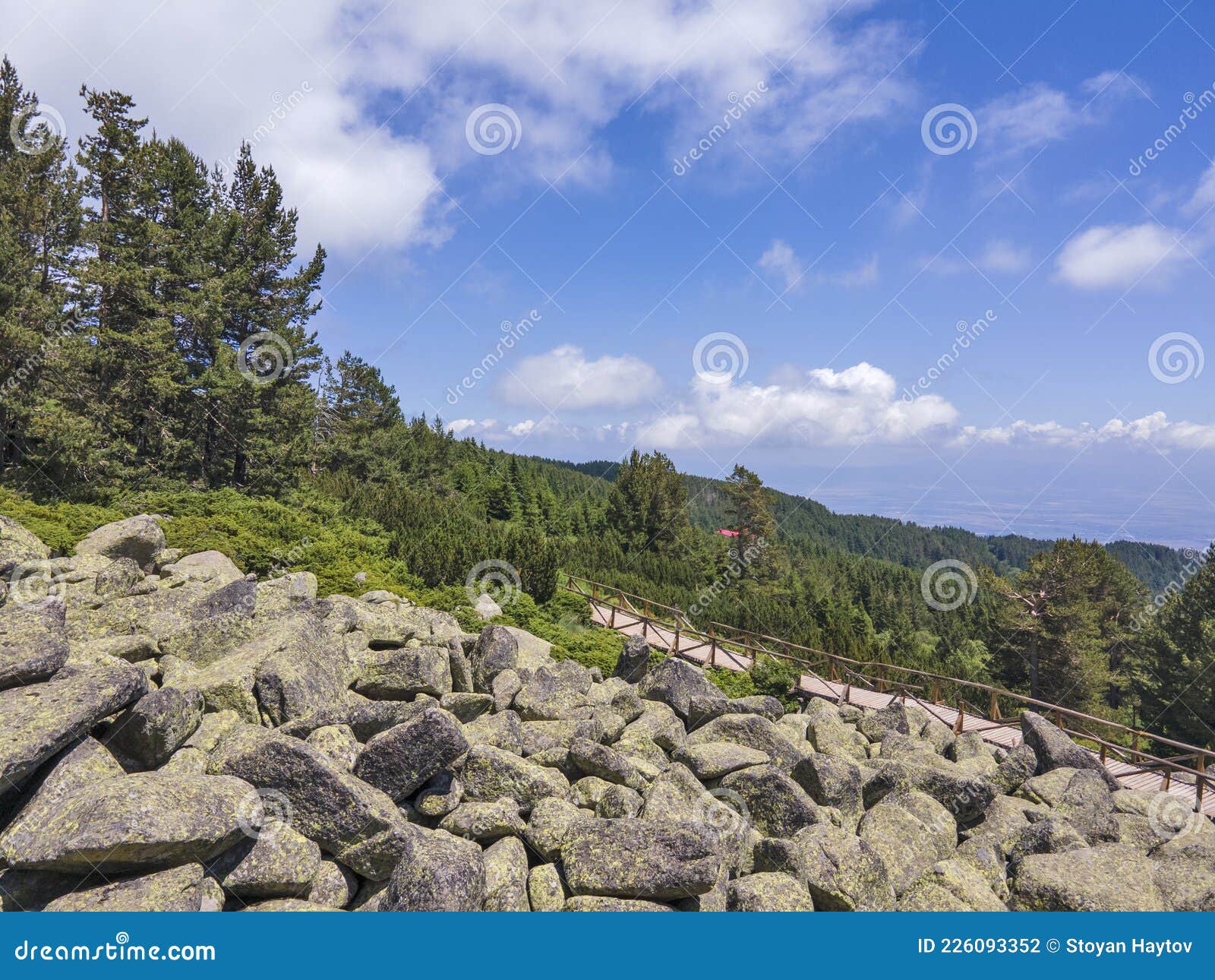 Small mountain river in Vitosha mountain, Sofia Stock Photo - Alamy