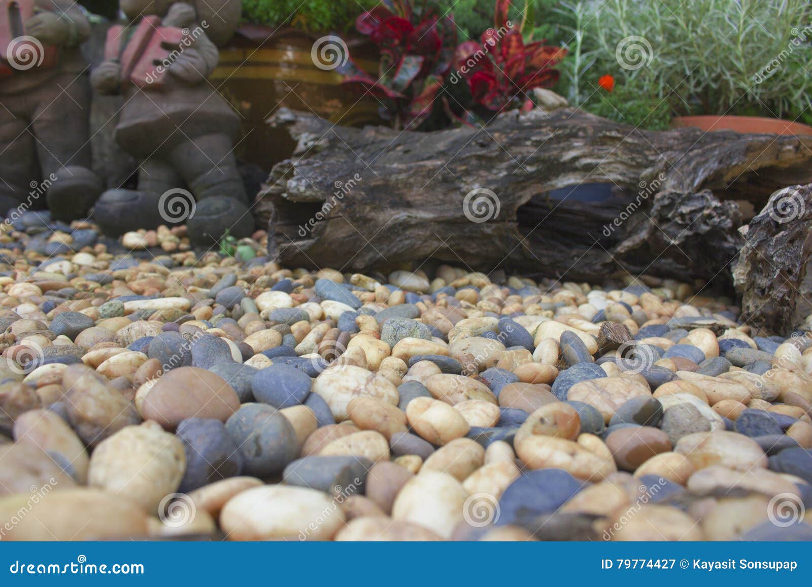 Stone Rocks Gravel And Plants In Garden Stock Image Image Of