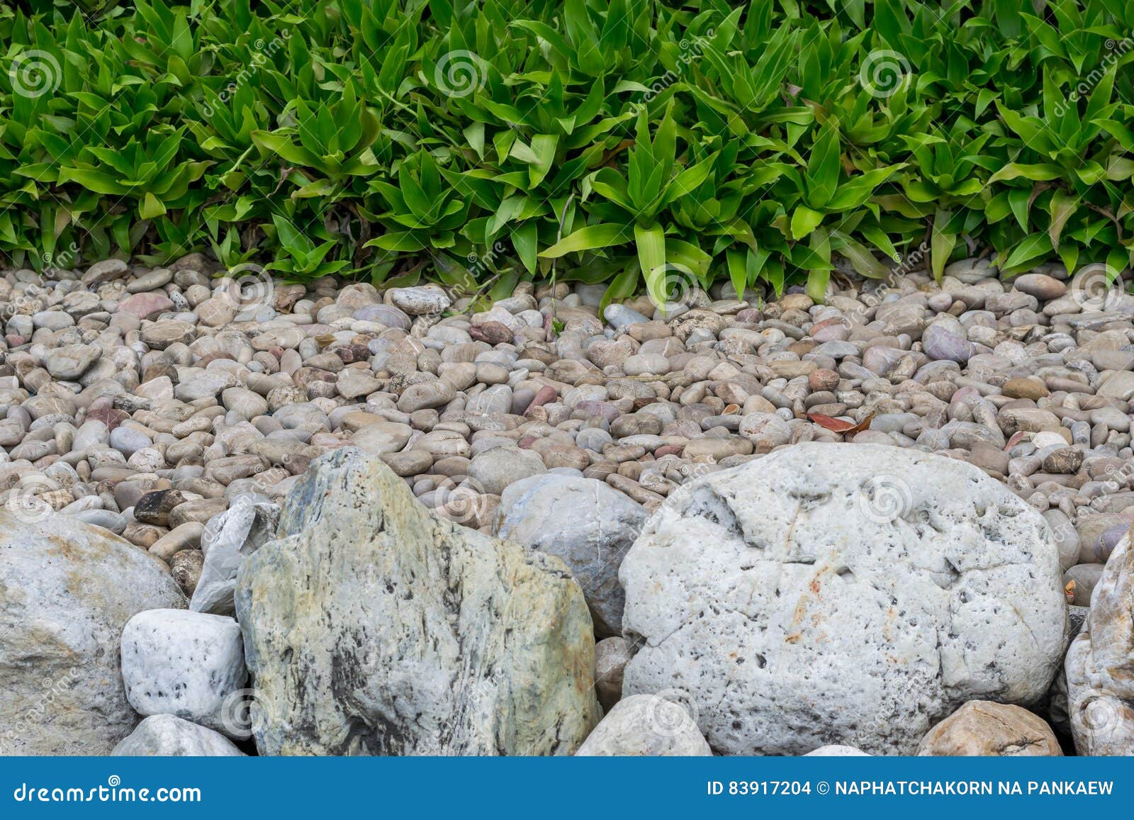 Stone Rocks Gravel And Plants Stock Photo Image Of Stone