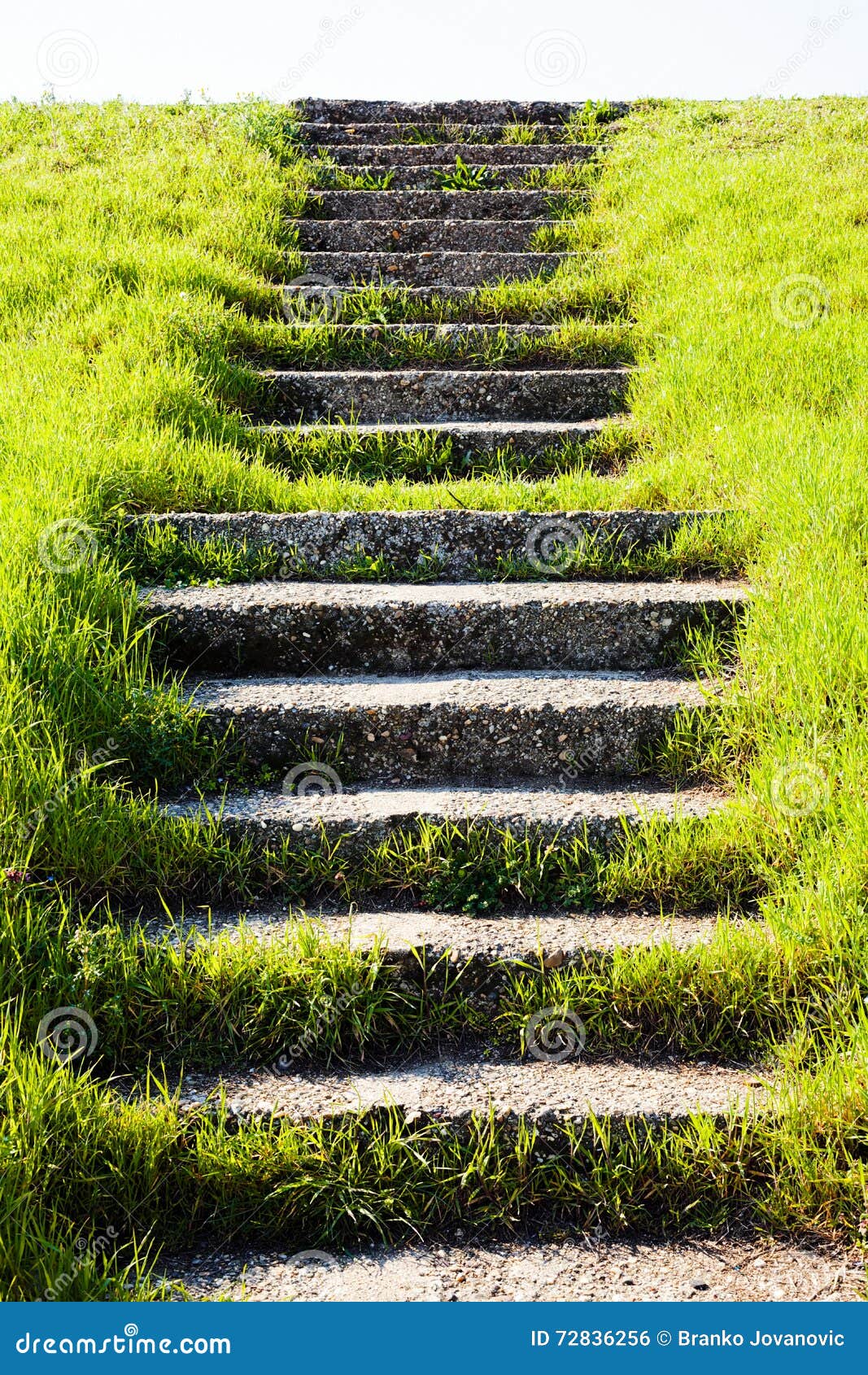 Stone stairs in grass stock photo. Image of grass, green - 72836256
