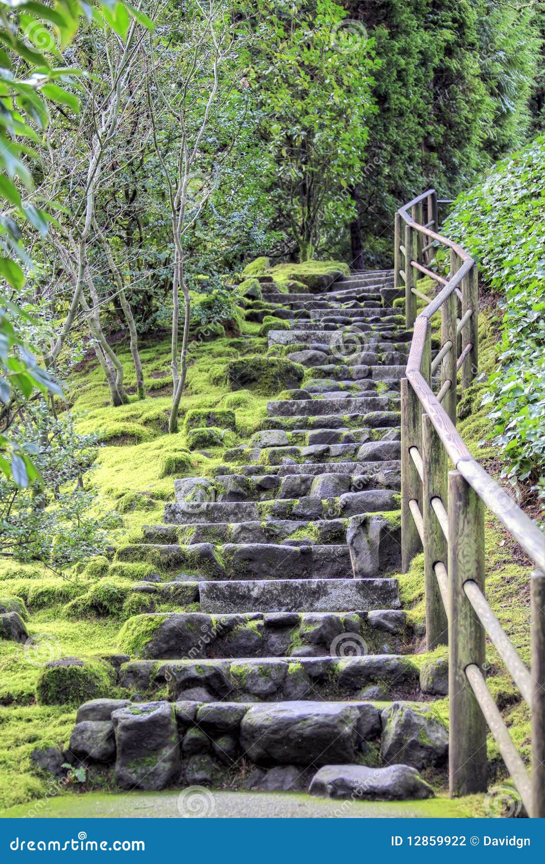 Stone Stairs at Japanese Garden. Stone Stairs Steps at Portland Japanese Garden