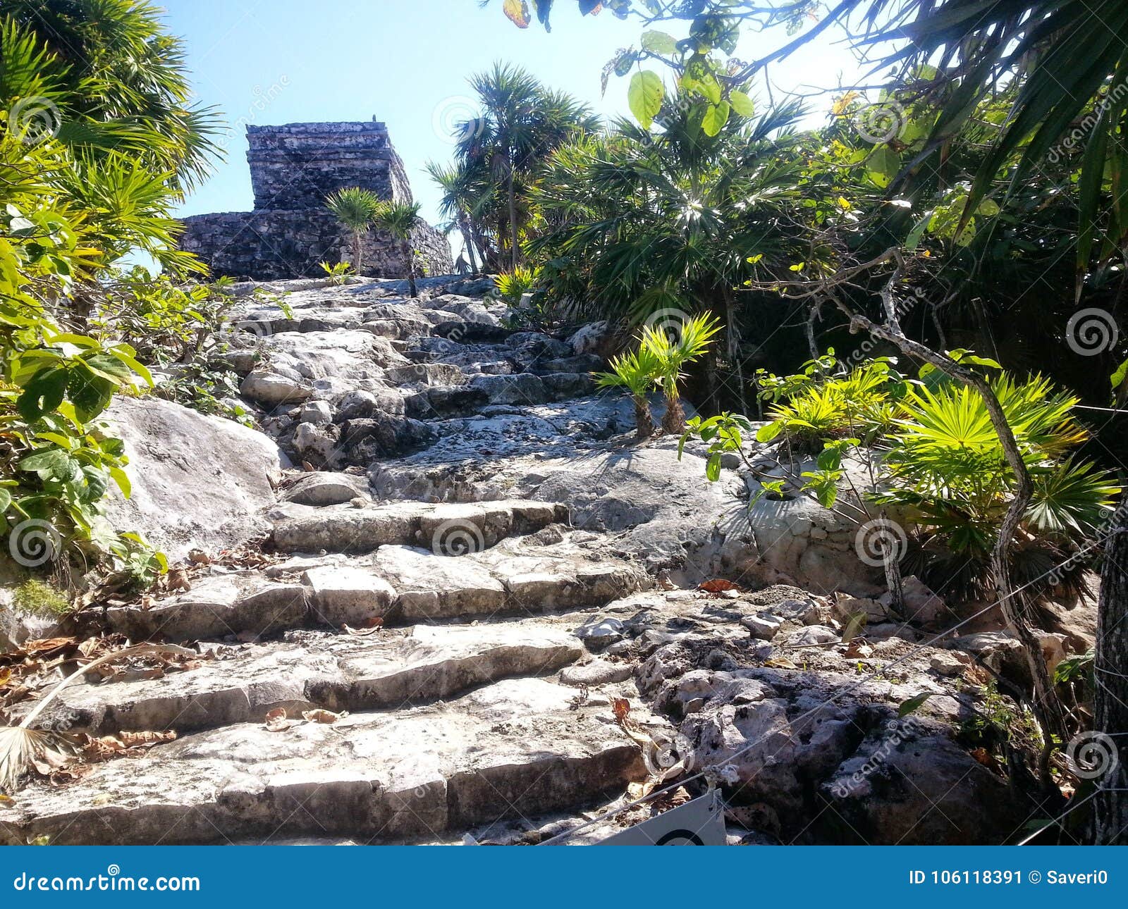 stone stairs leading to ancient mayan ruin