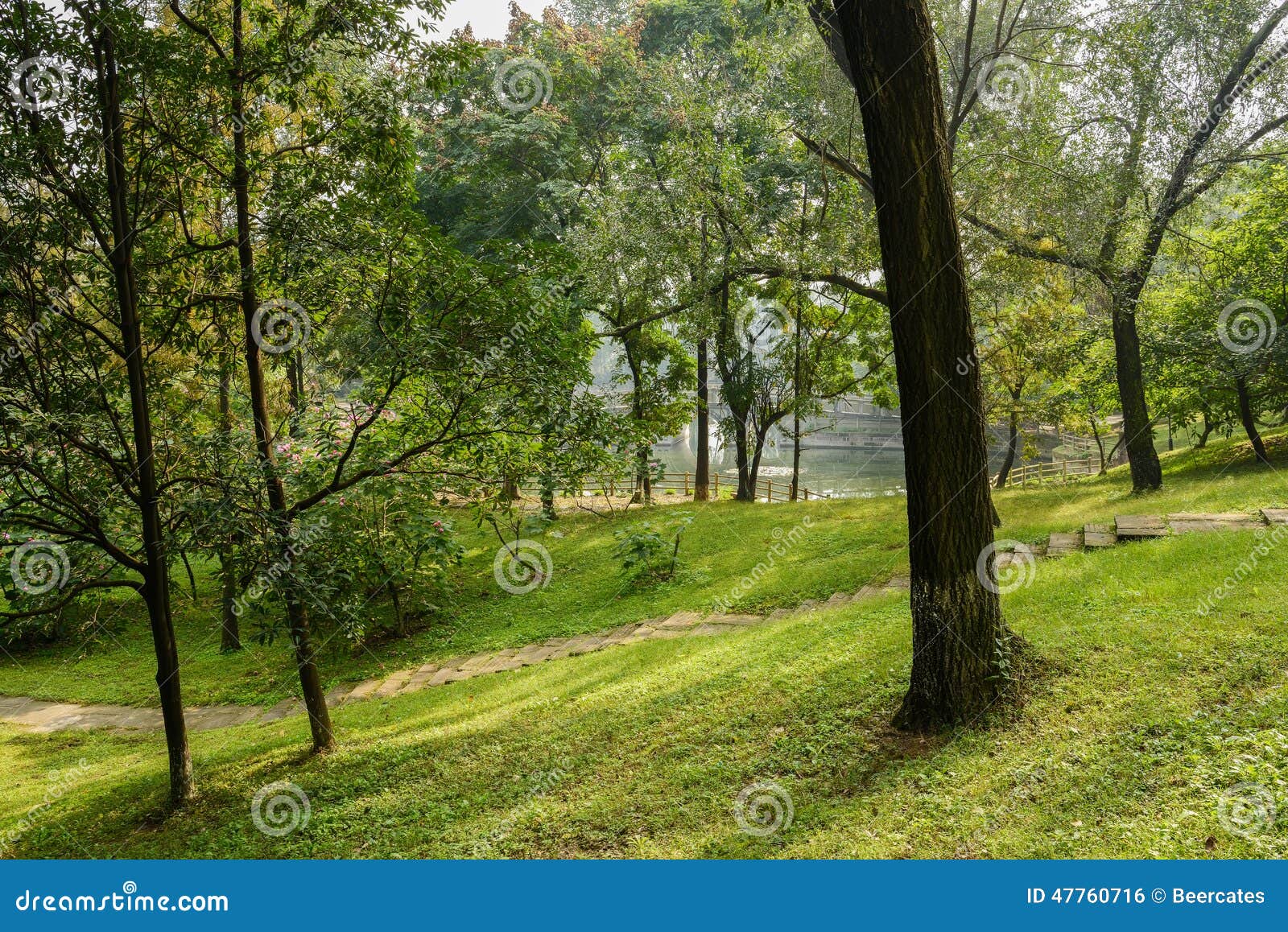 Stone Steps in Hillside Lawn on Sunny Day Stock Photo Image of shade