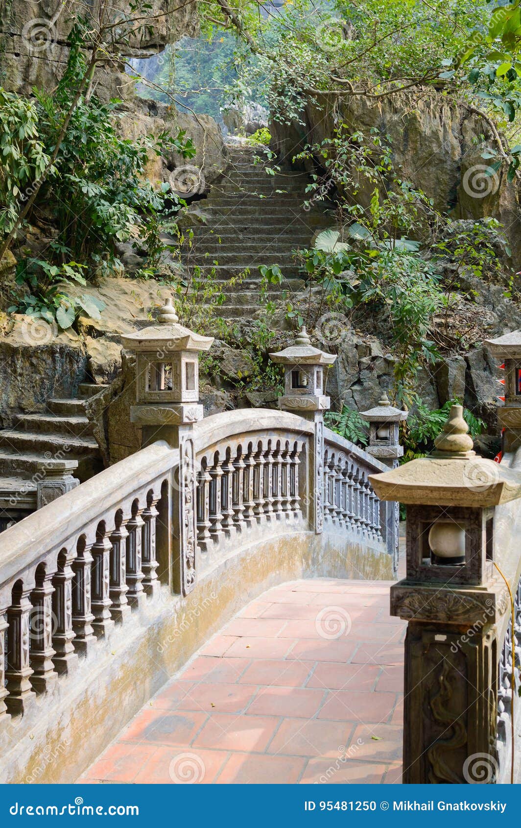 jungle of stone jungle of stone
