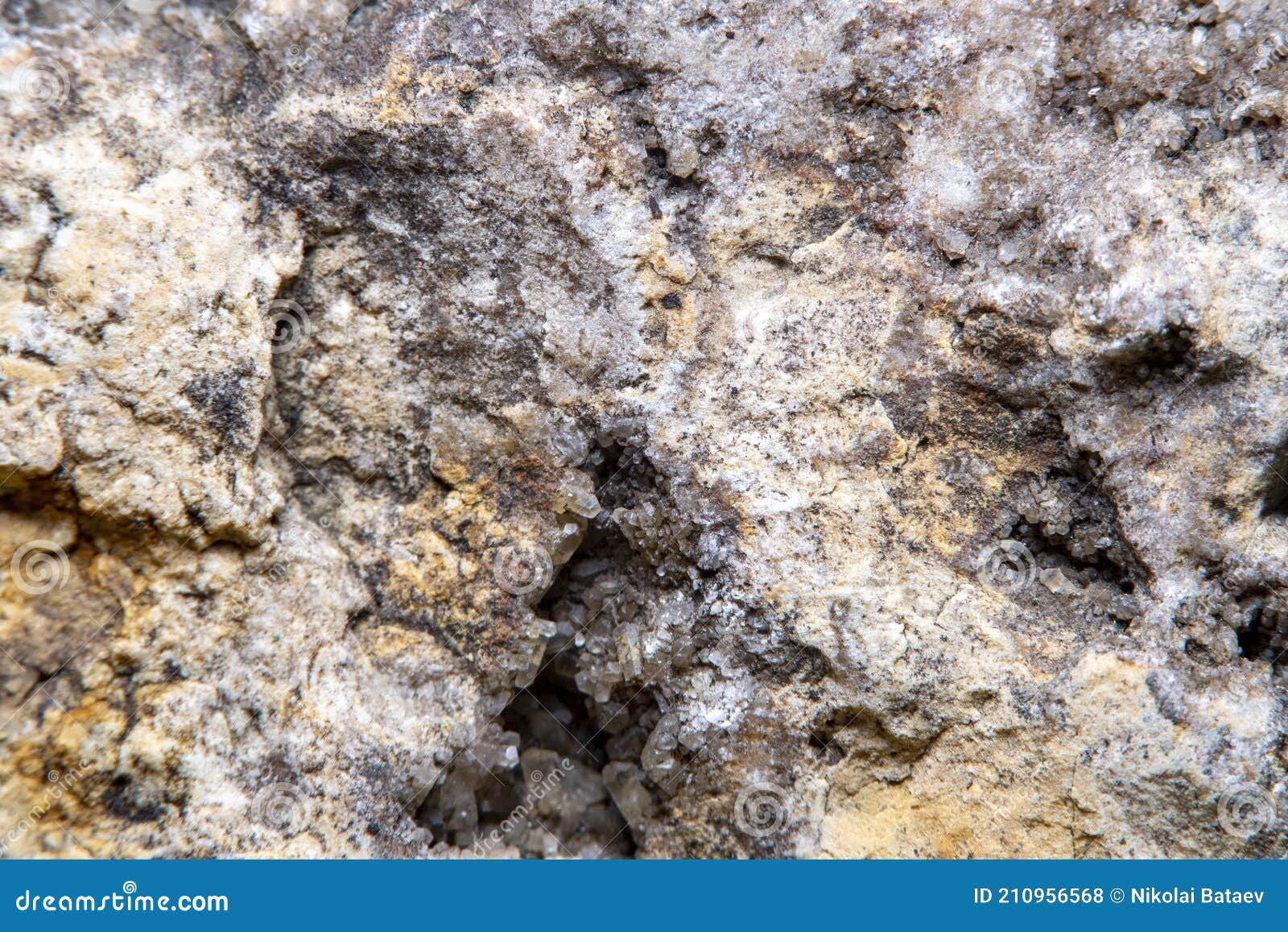 Stone Surface Texture at High Magnification with Numerous Microscopic