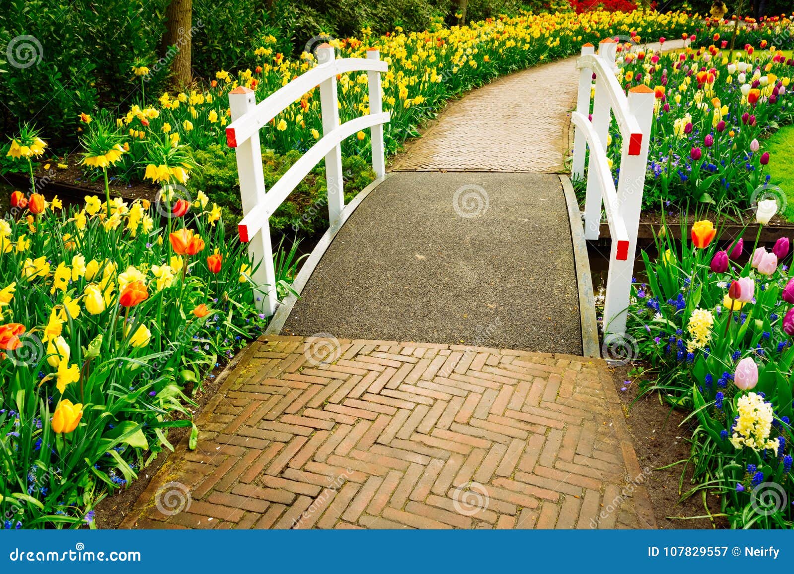 stone walk way in garden stock image. image of flower - 107829557