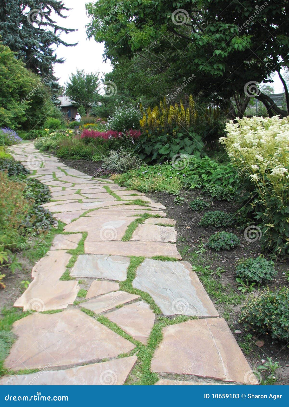 Stone Walking Trail through Flower Beds Stock Image Image of peaceful