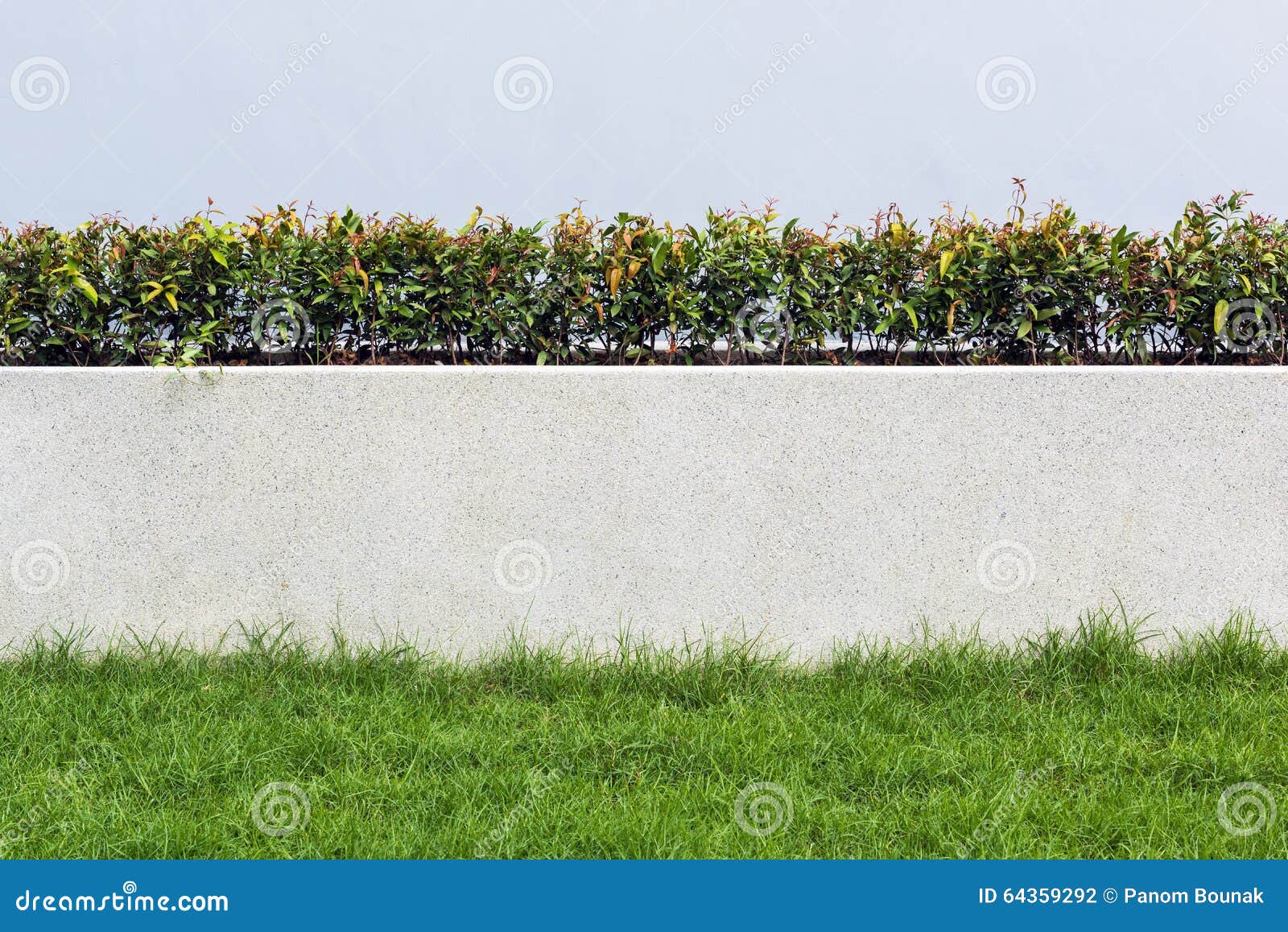 Stone Wall and Flora with Grass in Garden Decoration Design for Stock