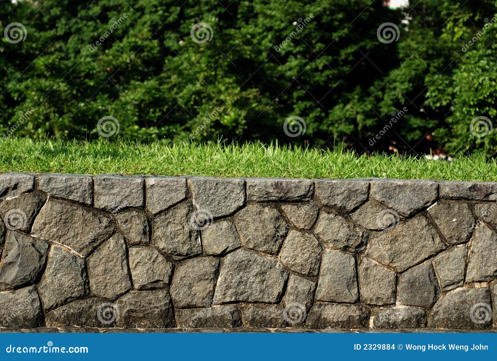Stone walls and trees stock photo. Image of tree, rock 2329884